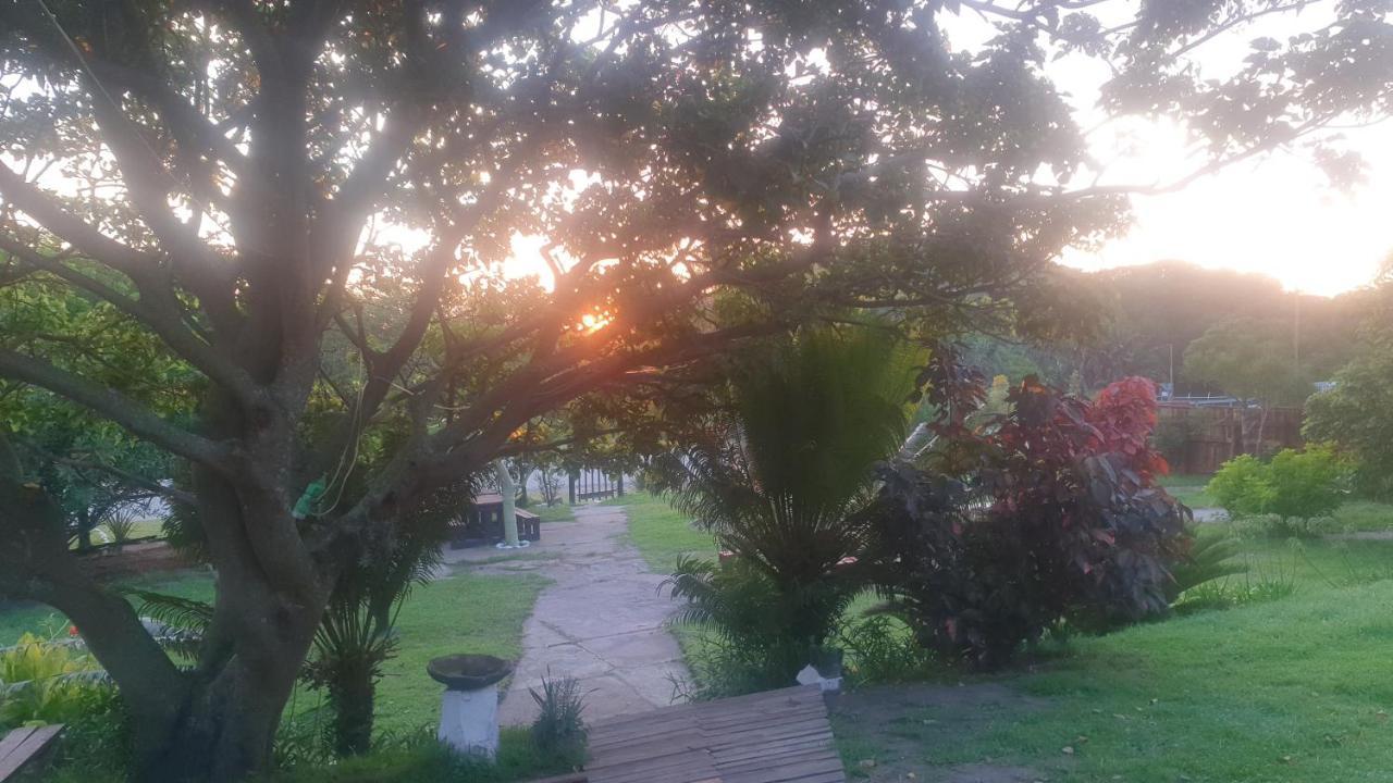 Sunset Bed And Breakfast コーヒーベイ エクステリア 写真