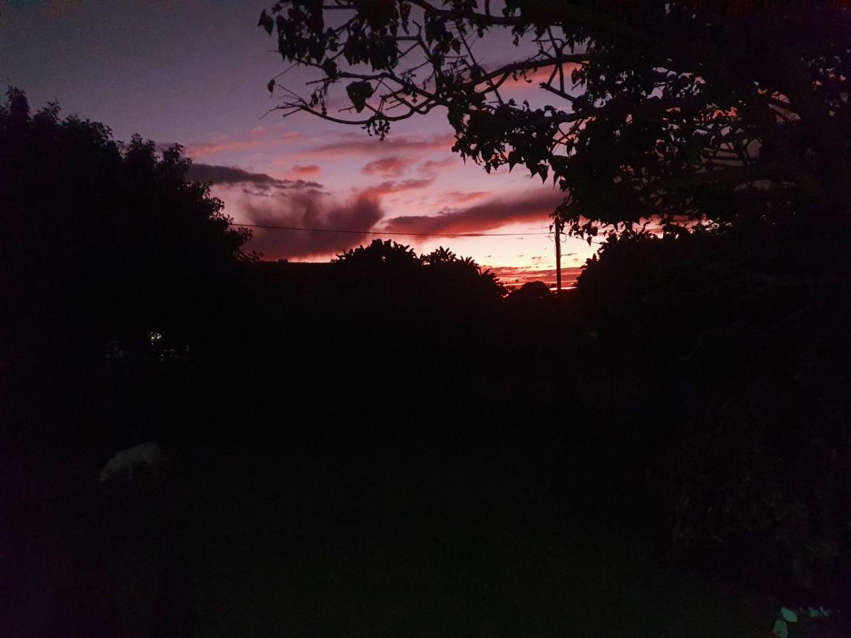 Sunset Bed And Breakfast コーヒーベイ エクステリア 写真